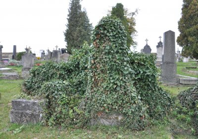 Strážiště, Omnium, 2020