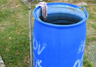 Strážiště, Omnium, 2020