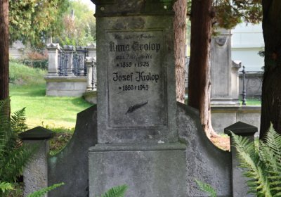 Omnium, 2020