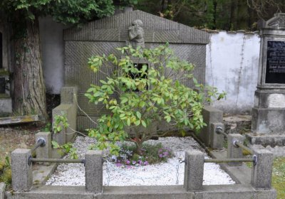 Omnium, 2020