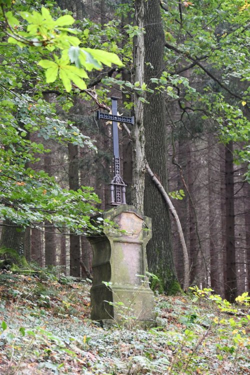 Růžová