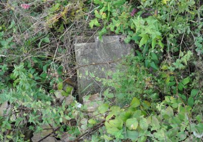 Křimov, Omnium, 2020