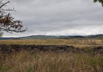 Křimov, Omnium, 2020