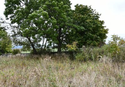 Křimov, Omnium, 2020