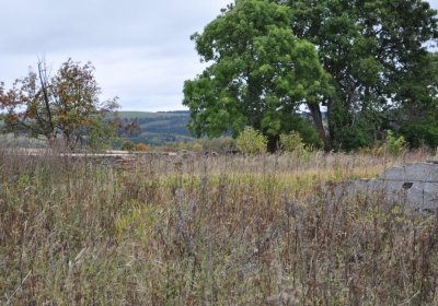 Křimov, Omnium, 2020