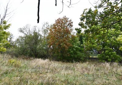 Křimov, Omnium, 2020