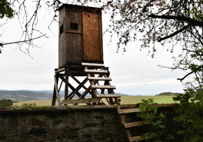 Křimov, Omnium, 2020