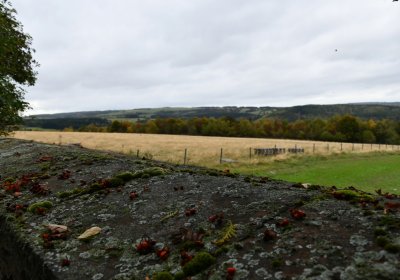 Křimov, Omnium, 2020