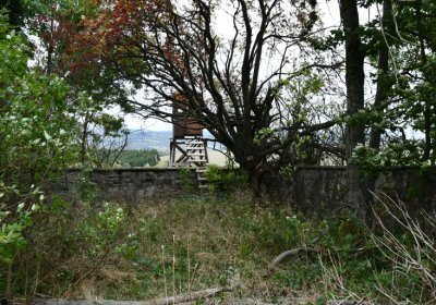 Křimov, Omnium, 2020