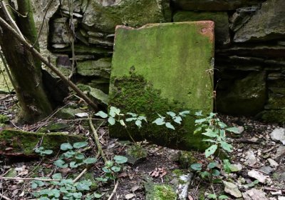 Křimov, Omnium, 2020