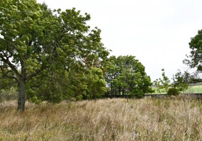 Křimov, Omnium, 2020