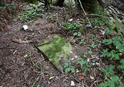 Křimov, Omnium, 2020