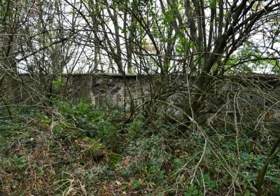 Křimov, Omnium, 2020