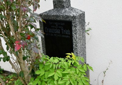 Strupčice, Omnium, 2020