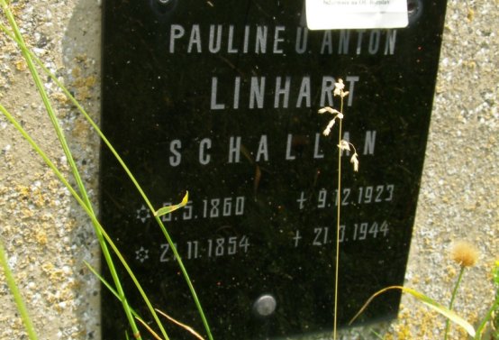 Kmínek Michal