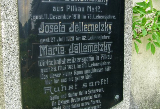 Kmínek Michal