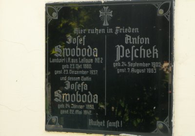 Kmínek Michal
