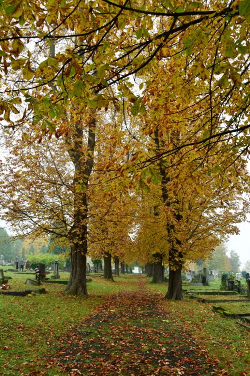 Bystřany