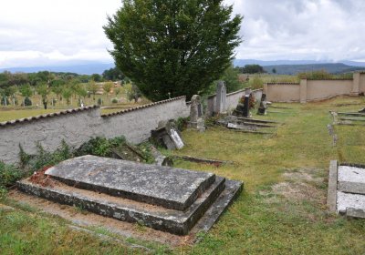 Žim, Omnium, 2020