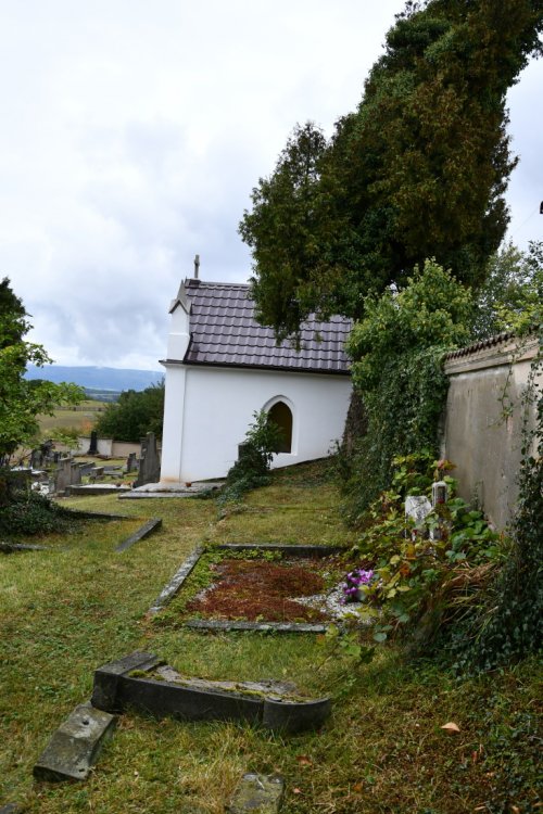 Žim