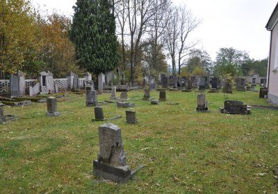 Brandov udržovaná část, Omnium, 2020