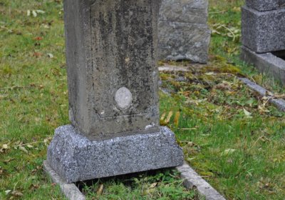 Brandov udržovaná část, Omnium, 2020