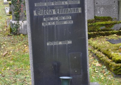 Brandov udržovaná část, Omnium, 2020