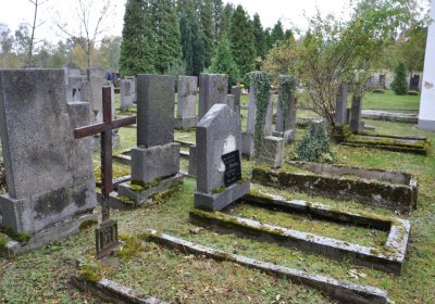 Brandov udržovaná část, Omnium, 2020