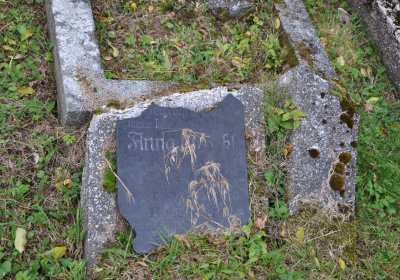 Brandov udržovaná část, Omnium, 2020