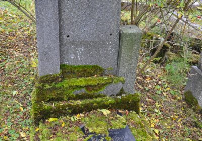 Brandov udržovaná část, Omnium, 2020