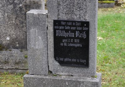 Brandov udržovaná část, Omnium, 2020