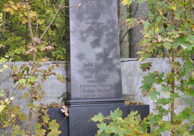 Brandov udržovaná část, Omnium, 2020