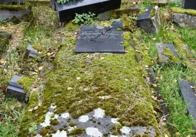 Brandov udržovaná část, Omnium, 2020