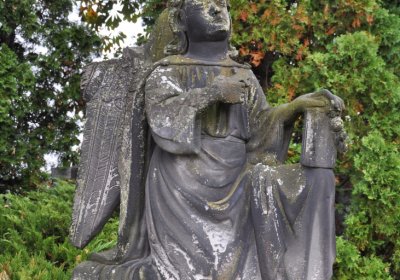 Omnium, 2020