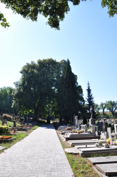 Brozany nad Ohří