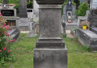 Budyně nad Ohří, Omnium, 2020