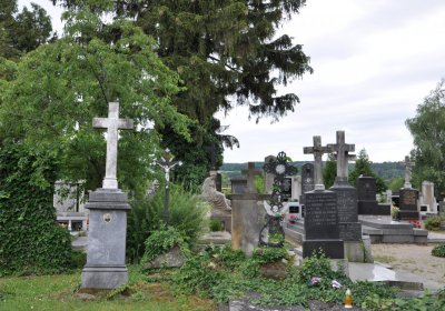 Budyně nad Ohří, Omnium, 2020