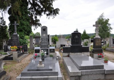 Budyně nad Ohří, Omnium, 2020