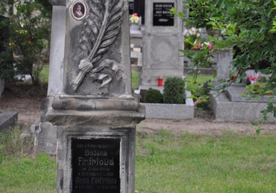 Budyně nad Ohří, Omnium, 2020