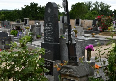 Budyně nad Ohří, Omnium, 2020