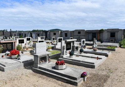 Dobříň, Omnium, 2020