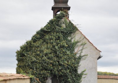 Evaň, Omnium, 2020