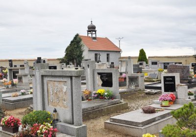 Evaň, Omnium, 2020