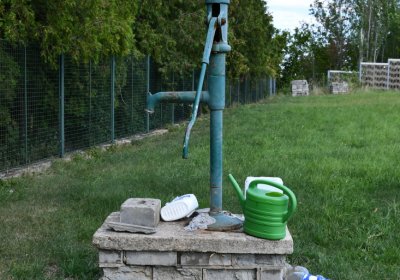 Chodovlice, Omnium, 2020