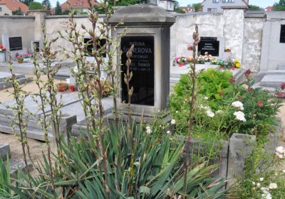 Kostomlaty pod Řípem (obecní), Omnium, 2020