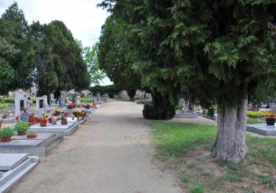 Kostomlaty pod Řípem (obecní), Omnium, 2020