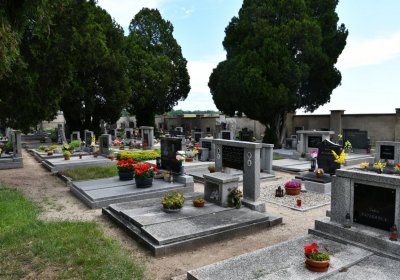 Kostomlaty pod Řípem (obecní), Omnium, 2020