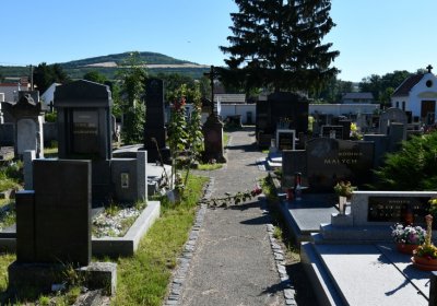 Křešice, Omnium, 2020