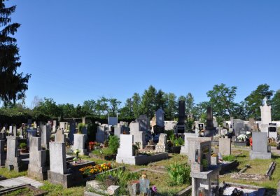Křešice, Omnium, 2020