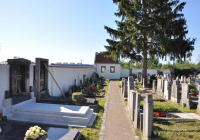 Křešice, Omnium, 2020